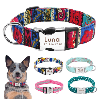 Coleira para Pet Personalizável, feita em nylon com fecho de aço inoxidável, personalizável com nome e telefone, disponível em várias cores