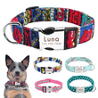 Carregar imagem no visualizador da galeria, Coleira para Pet Personalizável, feita em nylon com fecho de aço inoxidável, personalizável com nome e telefone, disponível em várias cores
