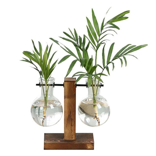 Terrário de mesa hidropônico, vaso de planta de vidro para decoração moderna