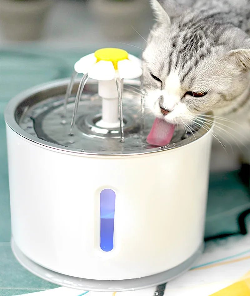 Bebedouro Automático com Filtro para Gatos e Cães