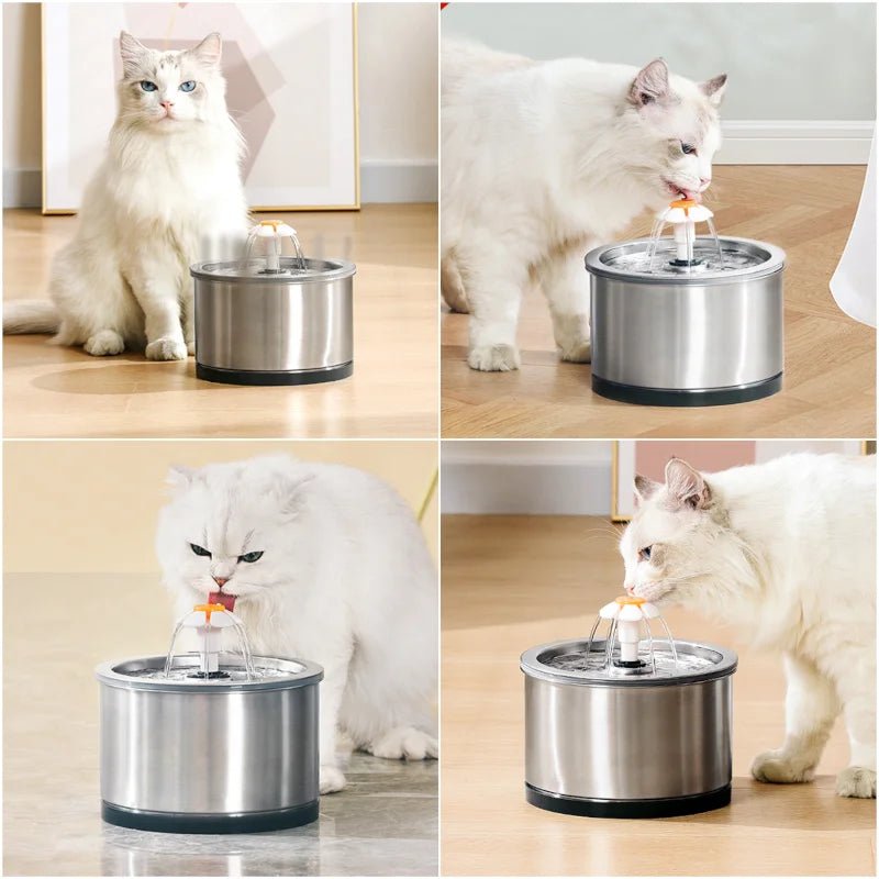 Bebedouro Automático com Filtro para Gatos e Cães