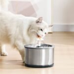 Bebedouro Automático com Filtro para Gatos e Cães