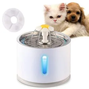 Bebedouro Automático com Filtro para Gatos e Cães