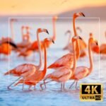 Projetor Portátil Magcubic Pro 4K com Wi-Fi e Android