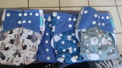 Imagem da Avaliação