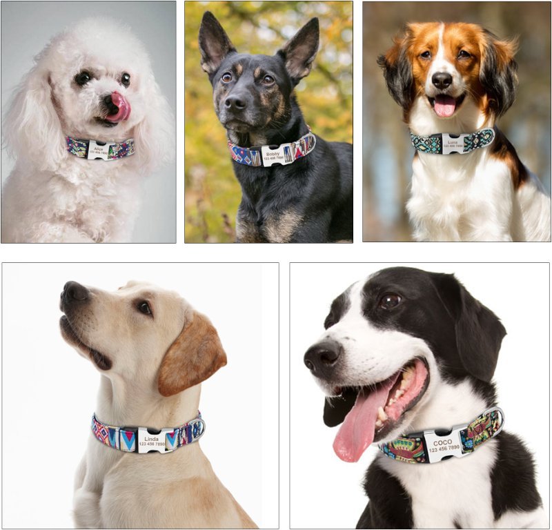Coleira Personalizada com Nome e Telefone para Pet