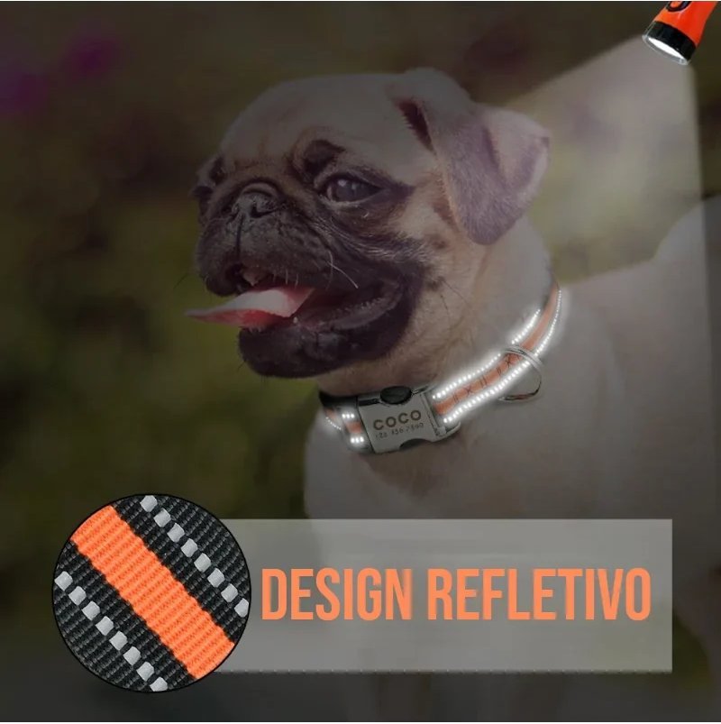 Coleira Personalizada com Nome e Telefone para Pet