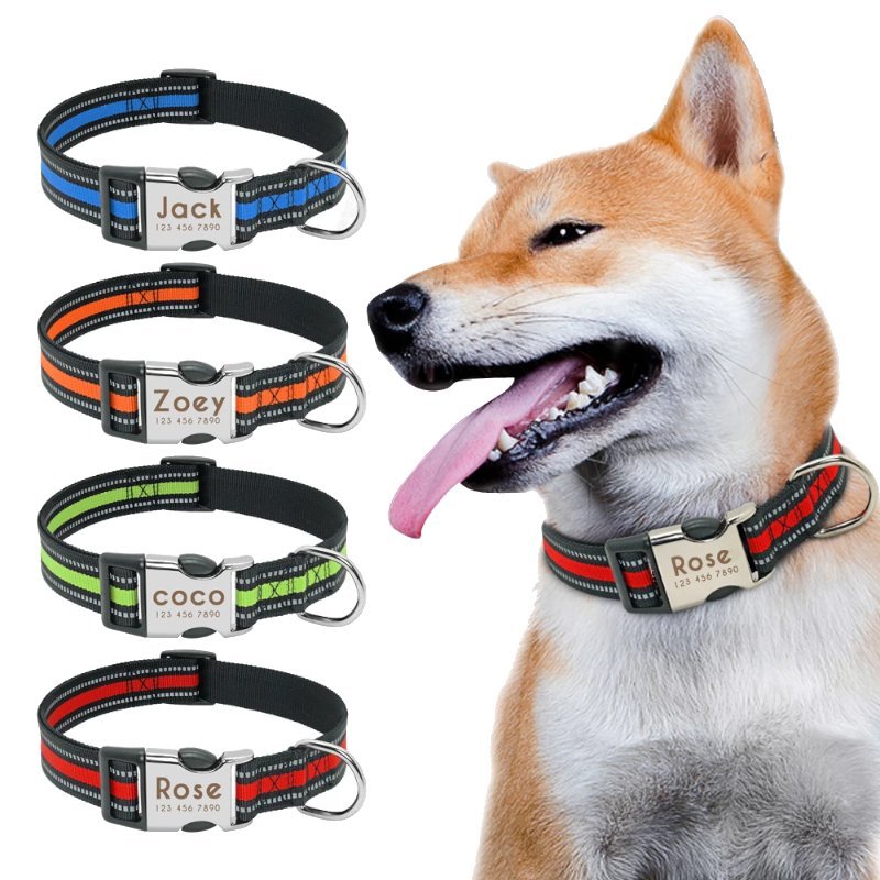 Coleira Personalizada com Nome e Telefone para Pet