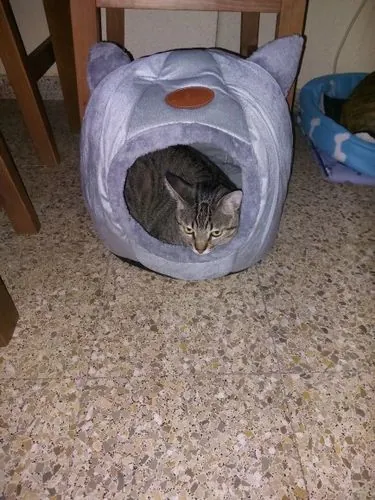 Imagem da Avaliação