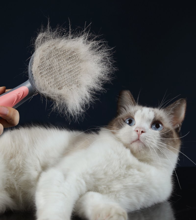 Escova Removedora de Pelos para Cães e Gatos