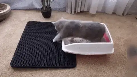 Tapete Higiênico Coletor de Areia para Gatos