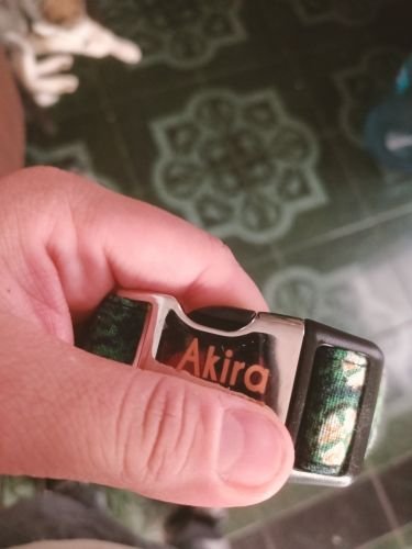 Imagem da Avaliação