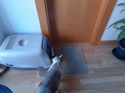 Imagem da Avaliação