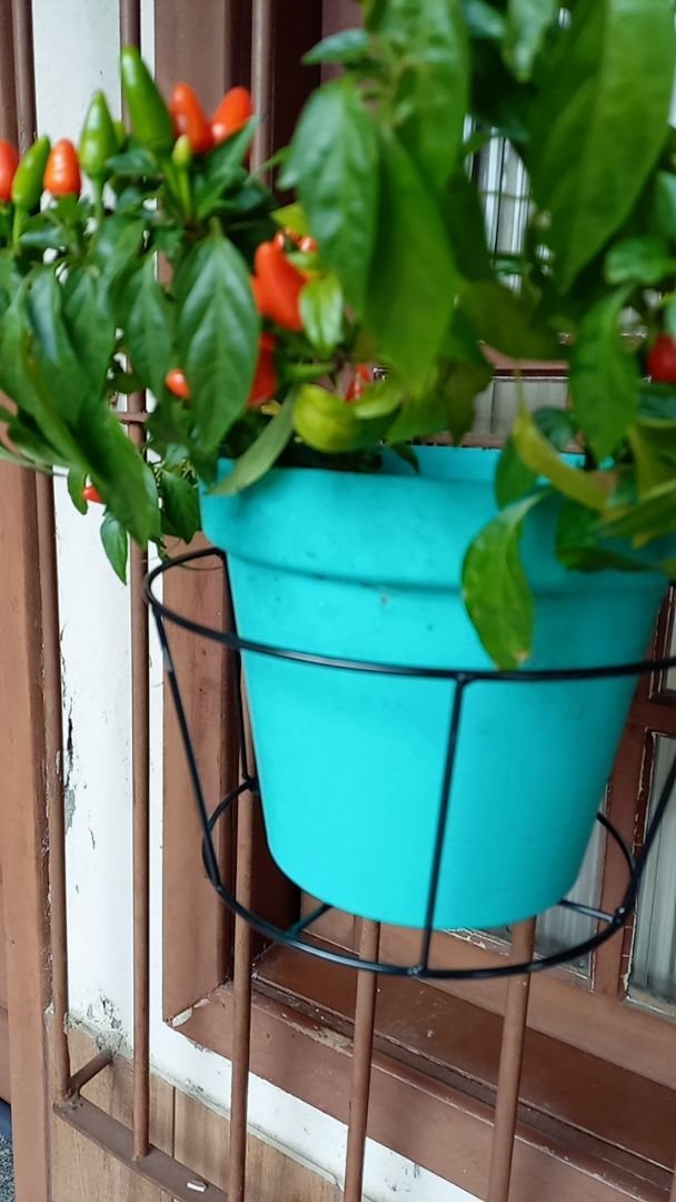 Imagem da Avaliação