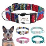 Coleira Personalizada com Nome e Telefone para Pet