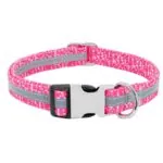 Coleira Personalizada com Nome e Telefone para Pet
