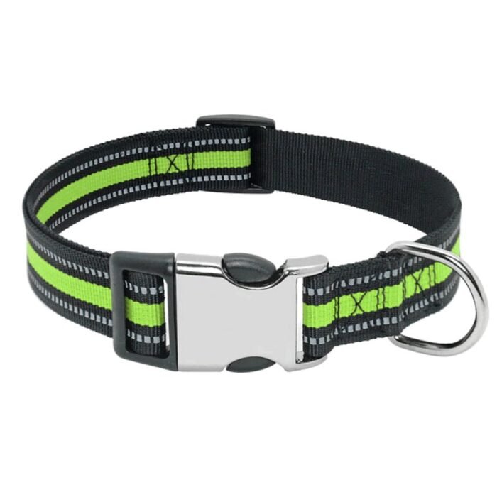 Coleira Personalizada com Nome e Telefone para Pet