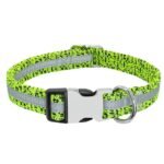 Coleira Personalizada com Nome e Telefone para Pet