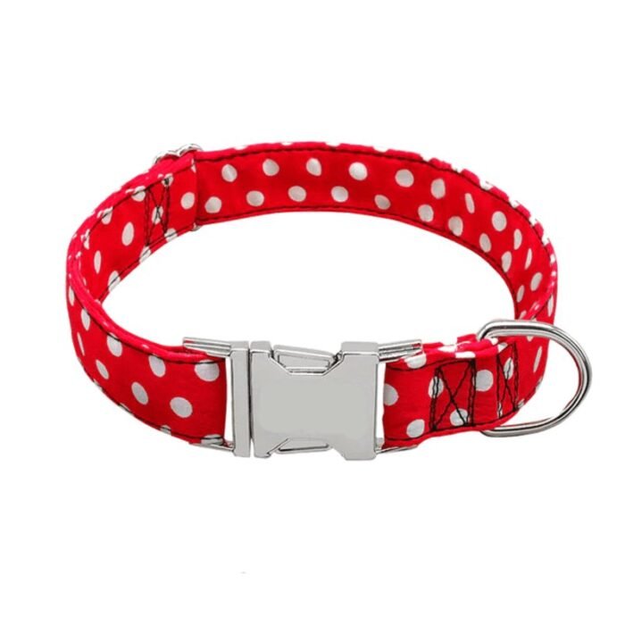 Coleira Personalizada com Nome e Telefone para Pet