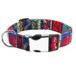 Coleira Personalizada com Nome e Telefone para Pet