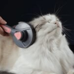 Escova Removedora de Pelos para Cães e Gatos