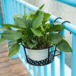 Suporte para Vasos de Plantas Sem Furar Parede