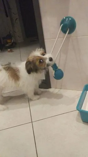 Imagem da Avaliação