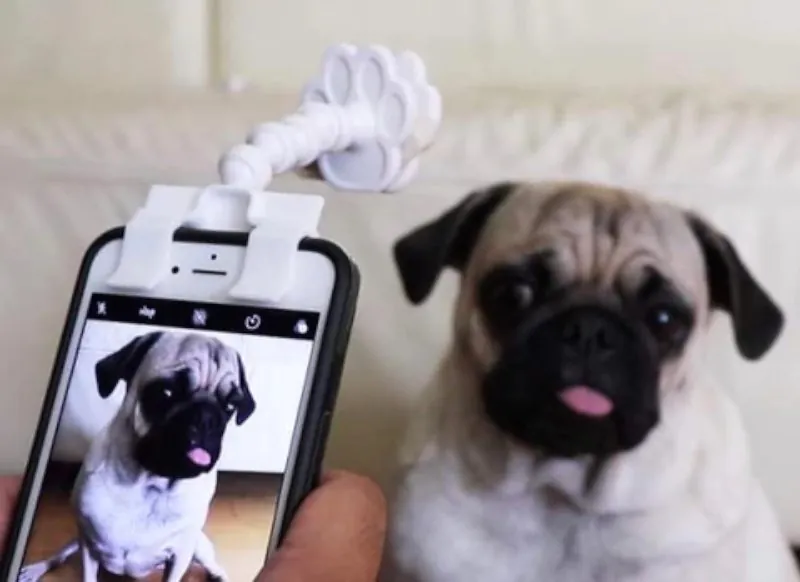 Acessório Flexível para Selfies com Pets