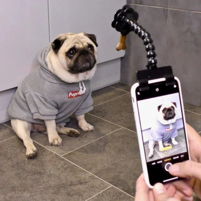 Acessório Flexível para Selfies com Pets