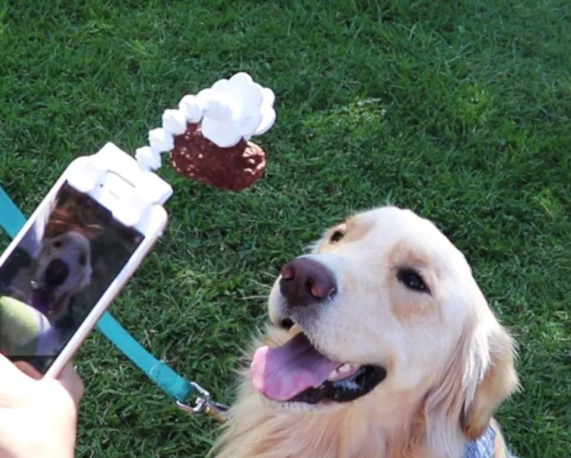 Acessório Flexível para Selfies com Pets