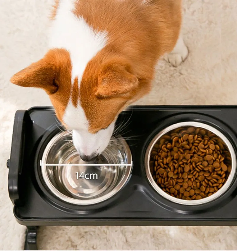 Comedouro Elevado Ajustável Duplo para Cães e Gato