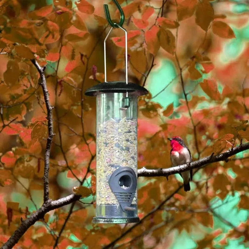 Comedouro para Pássaros Automático para Jardim