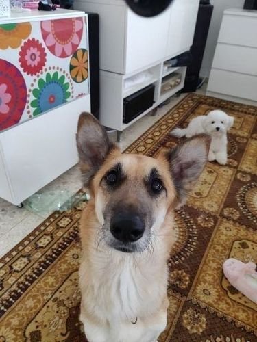 Imagem da Avaliação