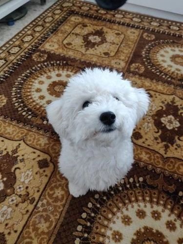 Imagem da Avaliação