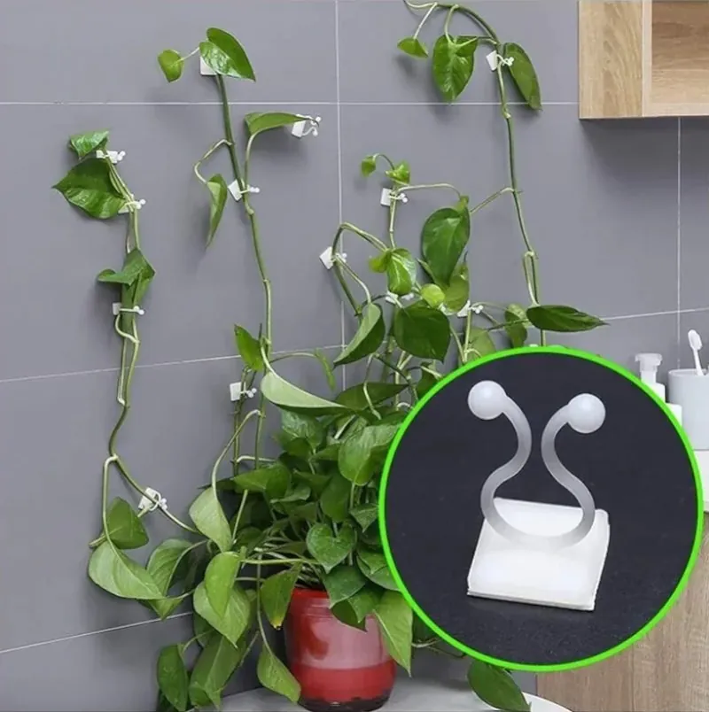 Gancho Autoadesivo para Plantas Trepadeiras com 40 Unidades
