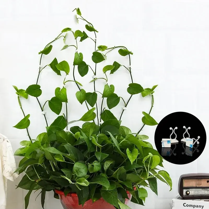Gancho Autoadesivo para Plantas Trepadeiras com 40 Unidades