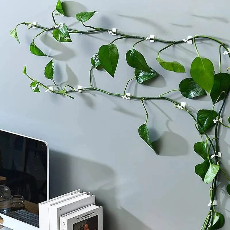 Gancho Autoadesivo para Plantas Trepadeiras com 40 Unidades