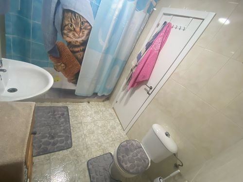 Imagem da Avaliação