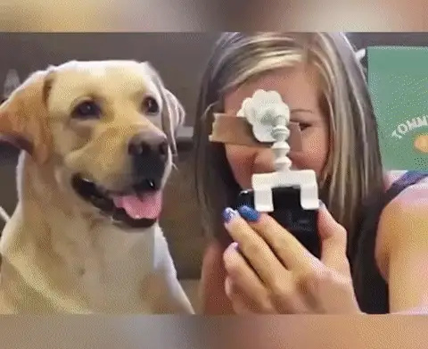 Acessório Flexível para Selfies com Pets