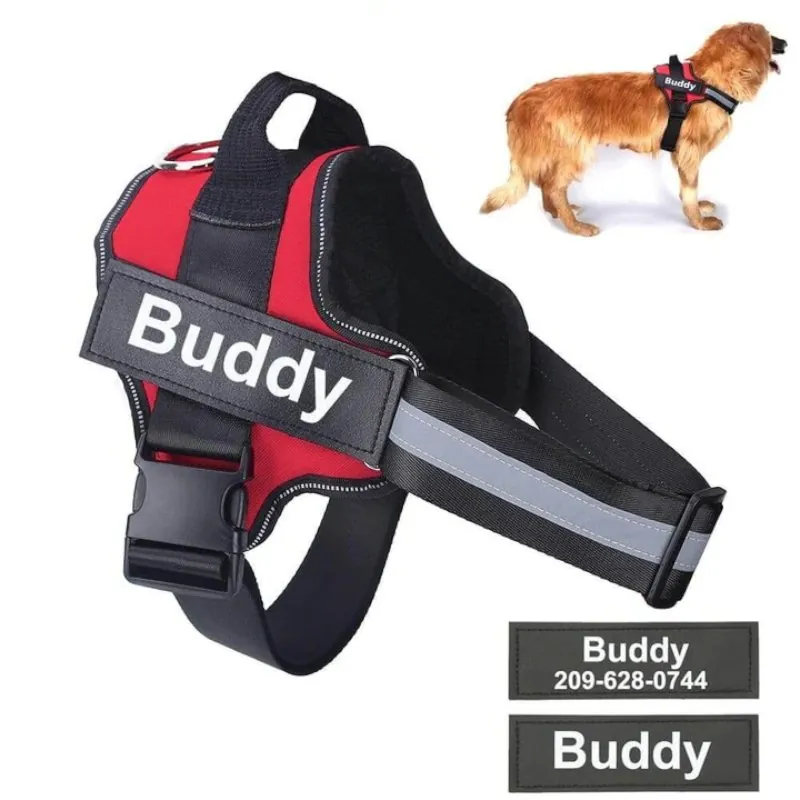 Coleira Peitoral Personalizado com Nome para Cachorro