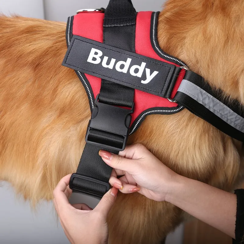 Coleira Peitoral Personalizado com Nome para Cachorro