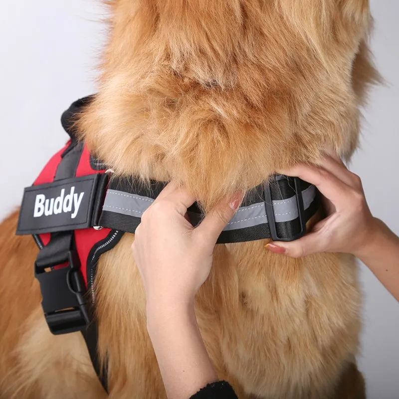 Coleira Peitoral Personalizado com Nome para Cachorro