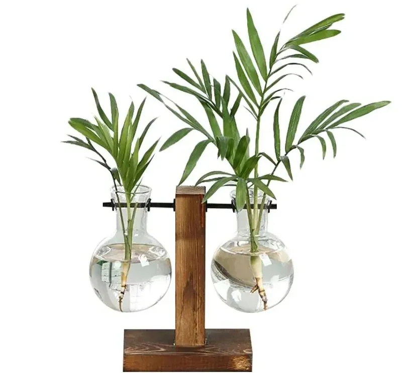 Terrário de Vidro para Plantas Hidropônicas de Mesa