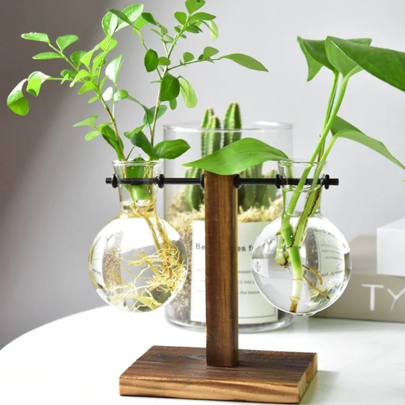 Terrário de Vidro para Plantas Hidropônicas de Mesa