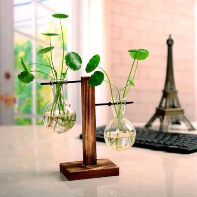 Terrário de Vidro para Plantas Hidropônicas de Mesa