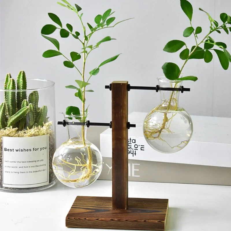 Terrário de Vidro para Plantas Hidropônicas de Mesa