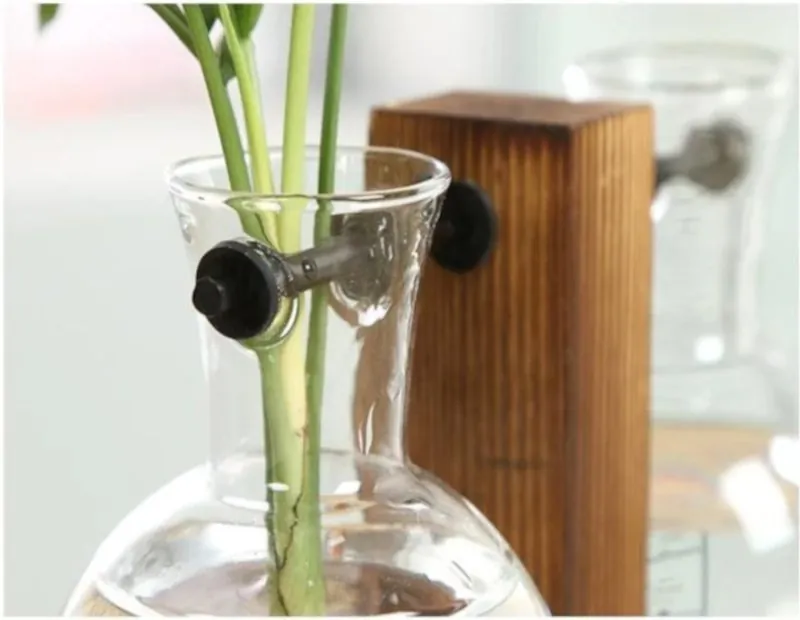 Terrário de Vidro para Plantas Hidropônicas de Mesa