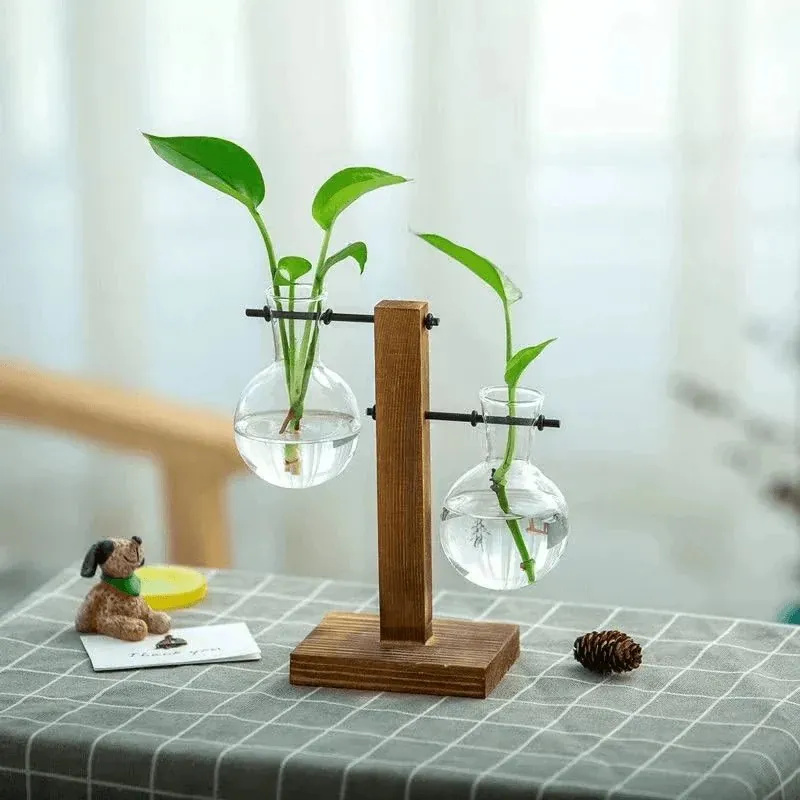 Terrário de Vidro para Plantas Hidropônicas de Mesa