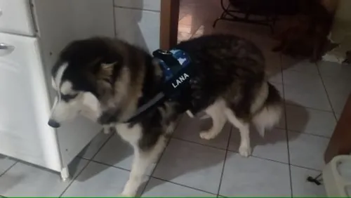 Imagem da Avaliação