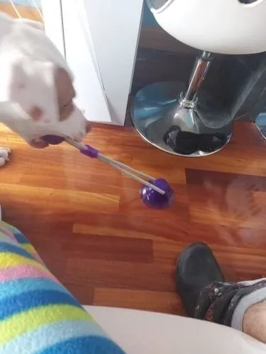 Imagem da Avaliação